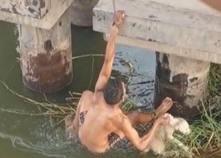 «مبيعرفش يعوم»..«سعيد» يعرض حياته للخطر لإنقاذ كلب من الغرق «فيديو»