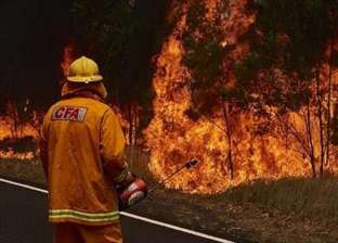 استمرار حرائق الغابات في كاليفورنيا ومحاولات لحماية أشجار السيكويا