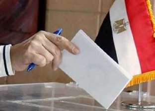 اكتمال التصويت في الانتخابات الرئاسية بالخارج بعد غلق لجان لوس أنجلوس