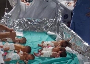 مدير مستشفى الشفاء بغزة: استشهاد 3 أطفال حديثي الولادة بسبب انقطاع الكهرباء