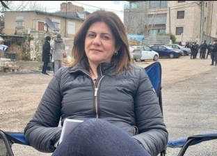 لحظة استشهاد الصحفية الفلسطينية شيرين أبو عاقلة برصاص الاحتلال (فيديو)