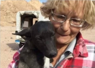 الكلاب لم تأكل منذ 3 أيام.. تفاصيل مقتل انجليزية بأنياب الكلاب فى جنوب سيناء