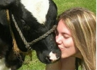 فيديو| تقبيل الأبقار من الفم ينتشر في النمسا