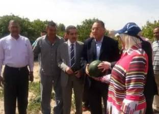 رئيس جامعة القناة يفتتح موسم حصاد البطيخ في كلية الزراعة