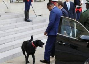 بالفيديو| كلب الرئيس الفرنسي "عملها" في صالون "الإليزيه"