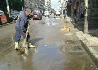 رغم وفاة أحدهم بسبب المطر.. عمال النظافة خلية نحل في شوارع الإسكندرية