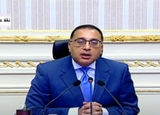 مجلس الوزراء يشيد بالمقاتل المصري على "فيس بوك": بمائة أو يزيد