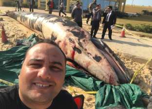 بالصور| "سيلفي مع الحوت".. آخر تقاليع المصريين