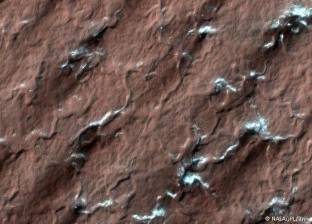 علماء هواة يكشفون سر عناكب المريخ