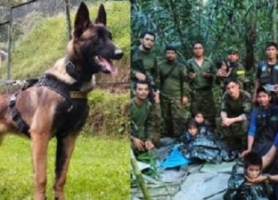كولومبيا تبحث عن بطلها الكلب ويلسون بعد إنقاذه أطفال الأمازون (فيديو)
