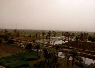 حالة الطقس في محافظات مصر اليوم.. شبورة مائية وأمطار خفيفة