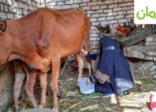 «حياة كريمة» تنقذ أطفال «أم إسلام» بعد وفاة والدهم: «إدولي جاموسة وبنوا بيتي»