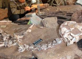 العثور على "أتعس" الديناصورات حظا في الصين