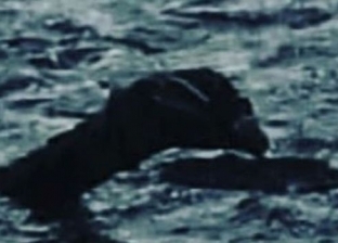 مؤرخ يلتقط صورة جديدة لوحش بحيرة "لوخ نيس" الشهير