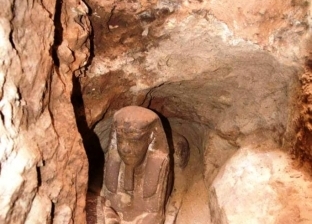 بالصور| اكتشاف تمثال لـ"أبو الهول" في معبد كوم أمبو بأسوان
