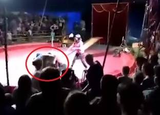بالفيديو| لحظة هجوم دب غاضب على مدربيه أثناء عرض في السيرك