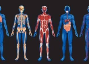 5 حقائق غريبة عن جسم الإنسان.. تعرف عليها