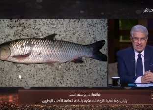 الثروة السمكية: سمكة "مبروكة الحشائش" الأشبه لـ"البوري" وغير ضارة