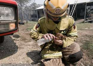رجل إطفاء ينقذ كلب صغير من حريق بكوينزلاند