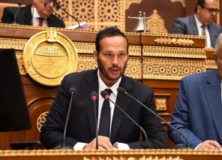 محمد حلاوة رئيس «الصناعة والتجارة» بمجلس الشيوخ: اللجنة ناقشت اقتراحات حول قضايا الإصلاح الاقتصادي