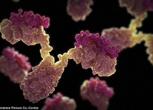دراسة: علاج سرطان البروستاتا قد يقي من فيروس كورونا