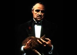 قطة "The Godfather" وأخطاء "Armageddon".. كواليس أشهر أفلام هوليوود