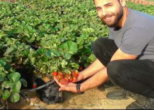 «حسام» يحول الأسطح لمحاصيل زراعية: أحبطوني.. وبنتج 25 كليو فراولة أسبوعيا