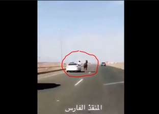 بالفيديو| شاب سعودي يروض حصان شارد يركض على الطريق السريع