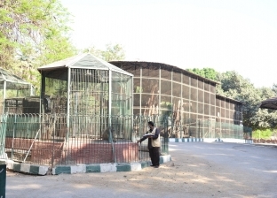مواعيد حديقة الحيوان بالجيزة وسعر تذكرة الدخول للمصريين