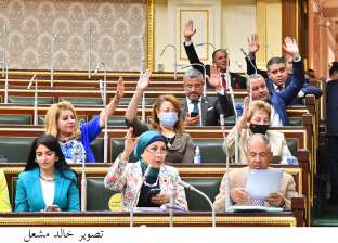 النواب يوافق على اتفاقية إعادة تأسيس الجامعة الفرنسية في مصر