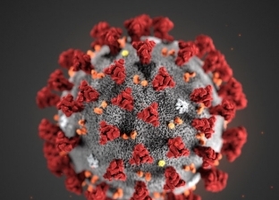 تسجيل 46 حالة جديدة بفيروس كورونا في السويس