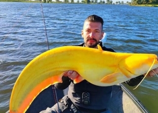 صياد يعثر على سمكة ضخمة مرعبة لونها أصفر: «لم أصدق ما حدث معي»