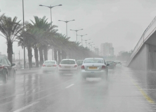 فيديو.. أمطار وبرق ورعد في الإسكندرية