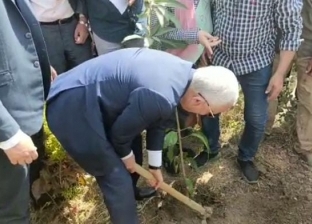 وزير التعليم يزرع شجرة في إحدى مدارس بني سويف «صور»