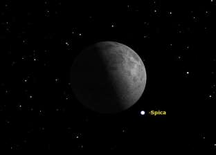 اقتران القمر مع النجم سبيكا الليلة.. ظاهرة فلكية تحدث للمرة الثانية في فبراير