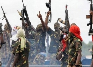 مقتل 18 شخصا في هجوم مسلح على ولاية نيجيرية وسرقة آلاف الماشية