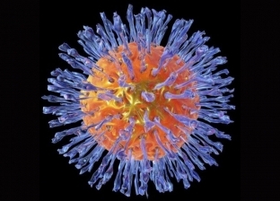 دراسة جديدة عن الفيروسات: «الهربس والجدري» قد يسببان الإصابة بـ«ألزهايمر»