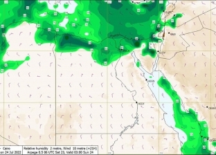 «الأرصاد»: استقرار الأحوال الجوية حتى منتصف الأسبوع المقبل