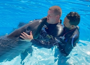 «فودة» يوافق على علاج طفل مصاب بالتوحد في الطور بأصوات الدلافين