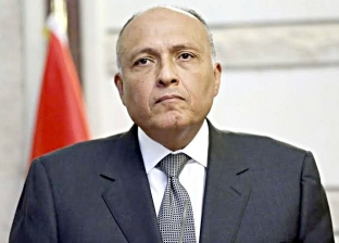 وزير الخارجية: إيمان مصري ثابت بتجديد شباب الجامعة العربية