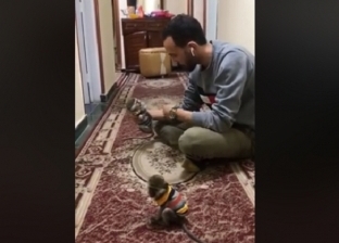 بالفيديو| دكتور يحل مشكلة بين نسانيس: "ضرب أخوه عشان موزة"