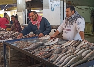 سمك الغلابة.. أسعار سوق الجمعة بالإسماعيلية تواجه الركود (فيديو)