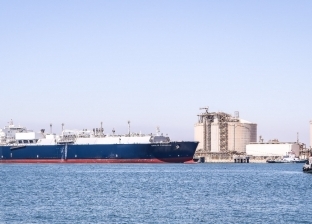 ميناء دمياط يستقبل سفينة لشحن 66 ألف طن من الغاز المسال