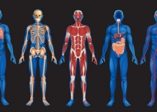 طبيب فرنسي: طبيعة جسم الإنسان تتأثر بتغير الفصول