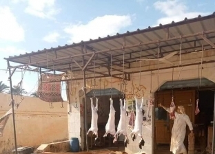 اللحمة بـ100 والسمك 26 جنيها.. انخفاض أسعار اللحوم في الحمام بمطروح