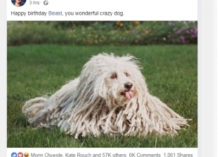 بالصور| مارك زوكربيرج يحتفل بعيد ميلاد كلبه "بيست"