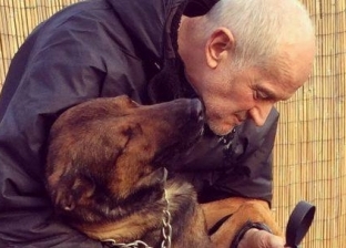 ضابط تركها محبوسة ساعتين.. وفاة كلب بوليسي بسبب ضربة شمس في بريطانيا