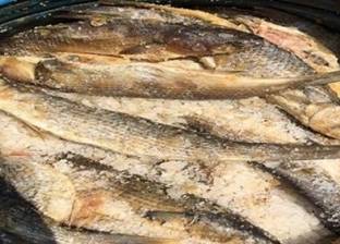"غرفة القاهرة": ارتفاع أسعار الأسماك المدخنة بالسوق المحلية