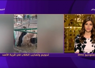 مصورة فيديو "قرية الأسد": "أول مرة أشوف كلاب بتاكل جزر"