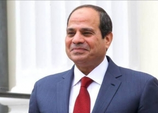 السيسي: مصر مهتمة بالتعاون مع الجانب النرويجي في إنتاج الطاقة النظيفة